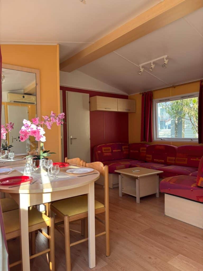 IRM CONSTELLATION – 2005 – REF 295