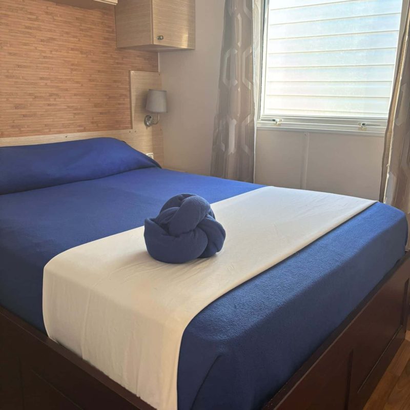 WhatsApp Image 2025-11-27 à 12.33.10_1126a82f