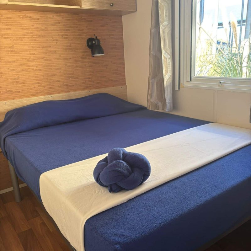 WhatsApp Image 2025-11-27 à 12.33.10_2b310252