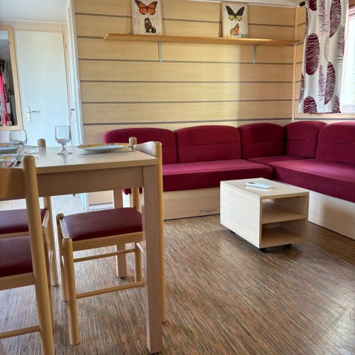 WhatsApp Image 2025-12-13 à 14.47.26_e79fd07a