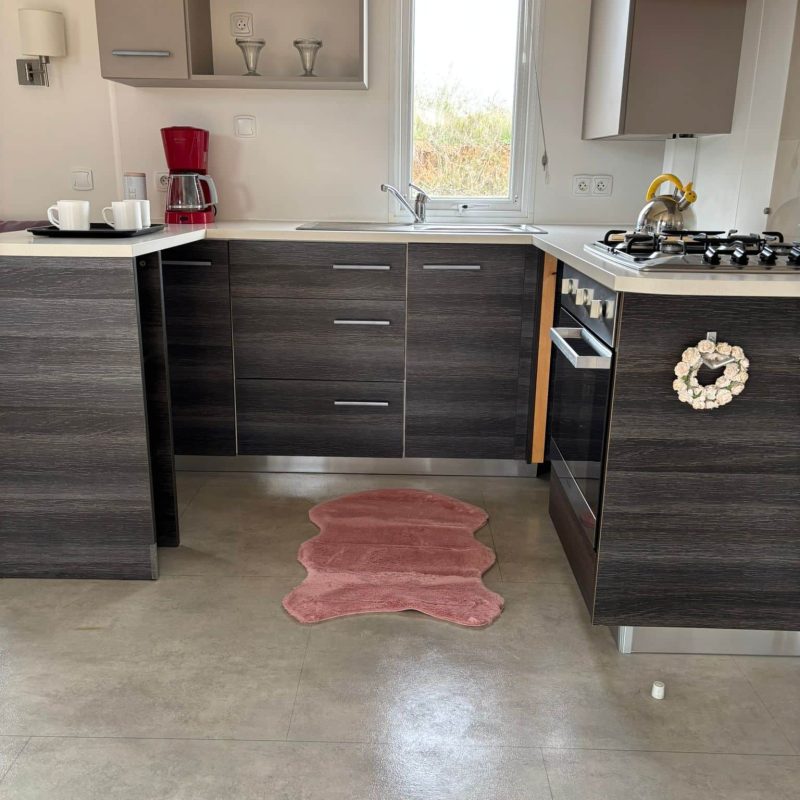 WhatsApp Image 2026-02-28 at 15.30.49 (1)