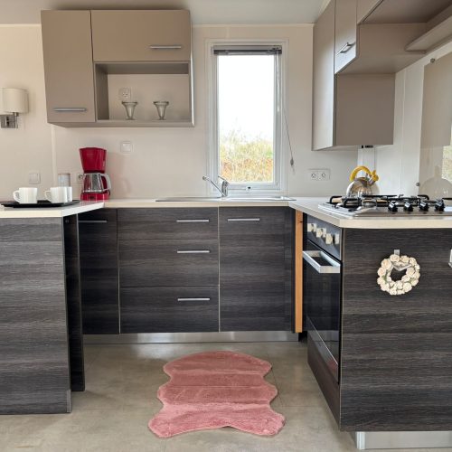 WhatsApp Image 2026-02-28 at 15.30.49