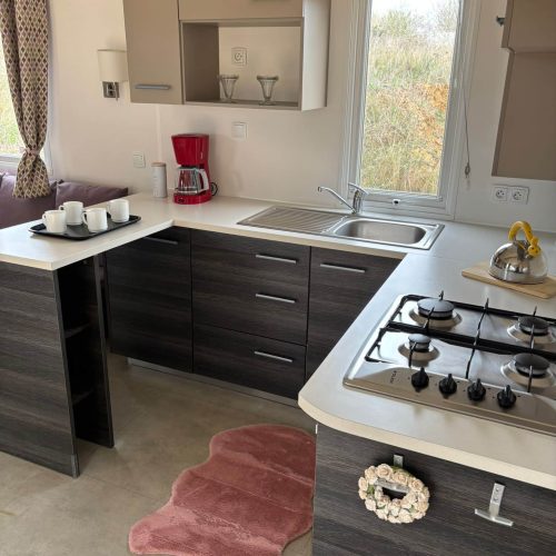 WhatsApp Image 2026-02-28 at 15.30.50