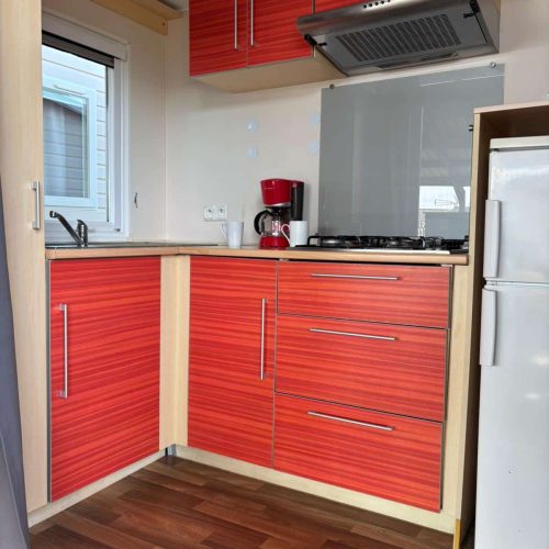 WhatsApp Image 2026-03-12 at 14.02.03