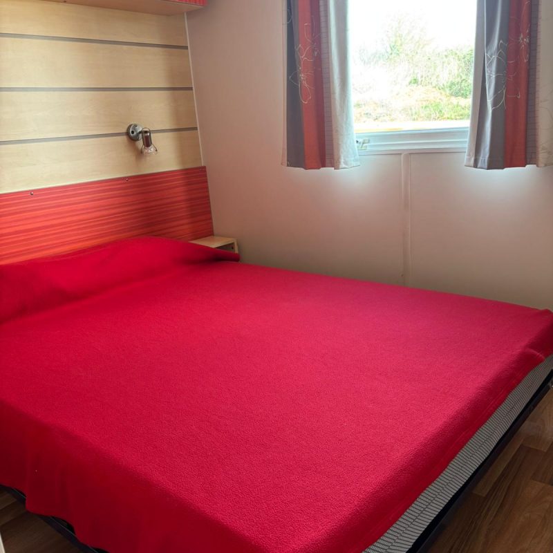 WhatsApp Image 2026-03-12 at 14.02.06