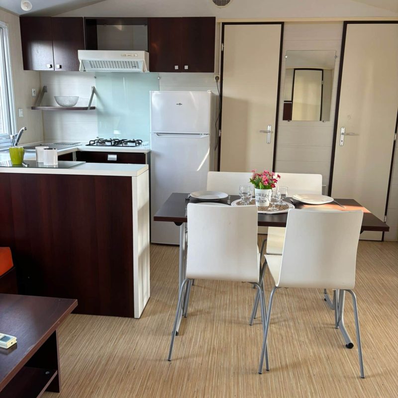 WhatsApp Image 2026-03-16 at 15.47.46