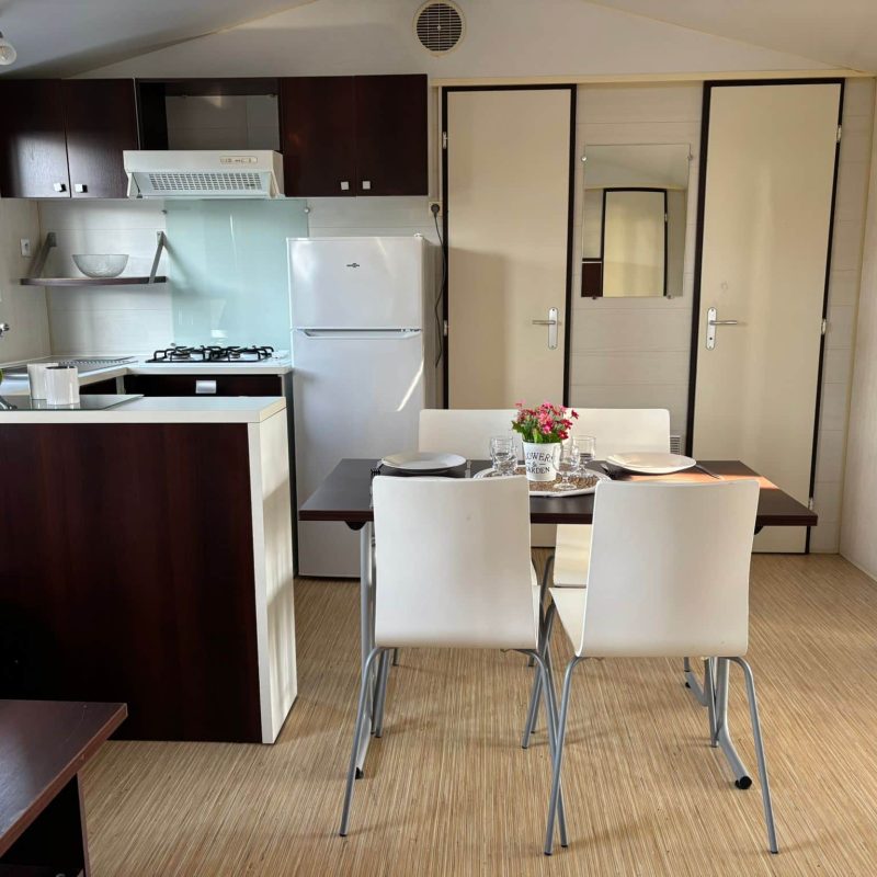 WhatsApp Image 2026-03-16 at 15.47.49