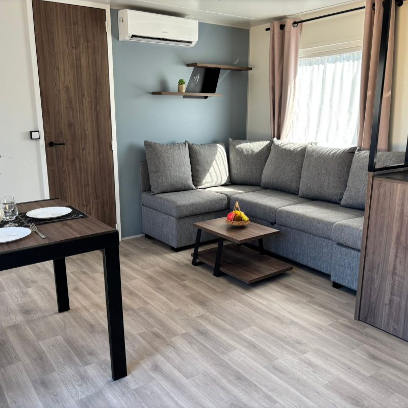 WhatsApp Image 2026-03-19 at 12.37.58