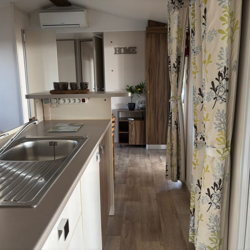 WhatsApp Image 2026-03-19 at 14.30.41 (3)