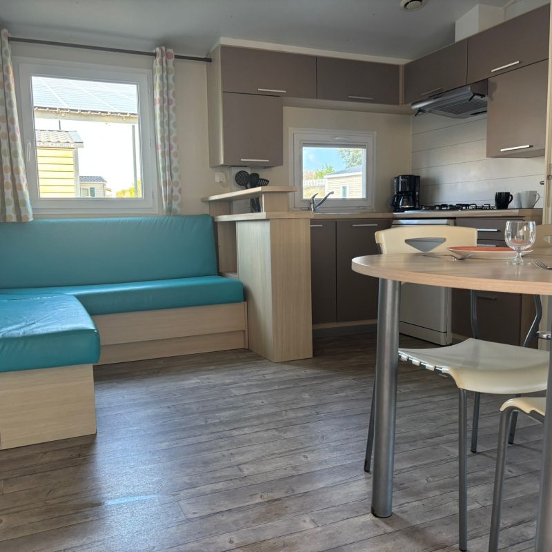 WhatsApp Image 2026-03-19 at 14.35.32 (3)