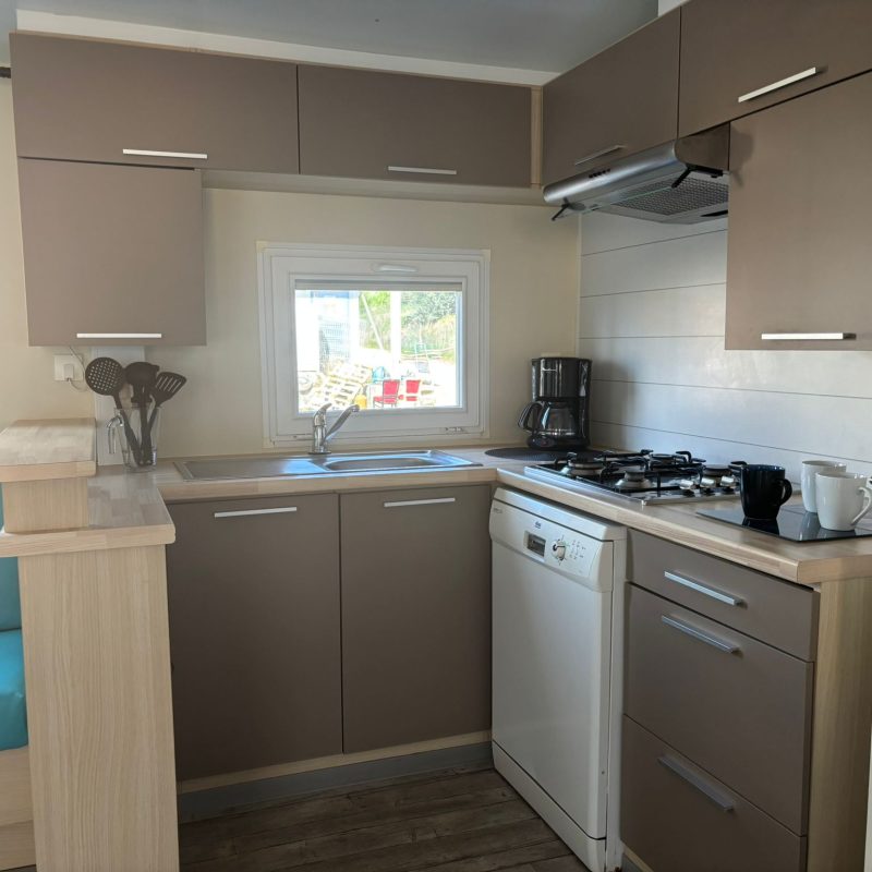 WhatsApp Image 2026-03-19 at 14.35.32 (4)